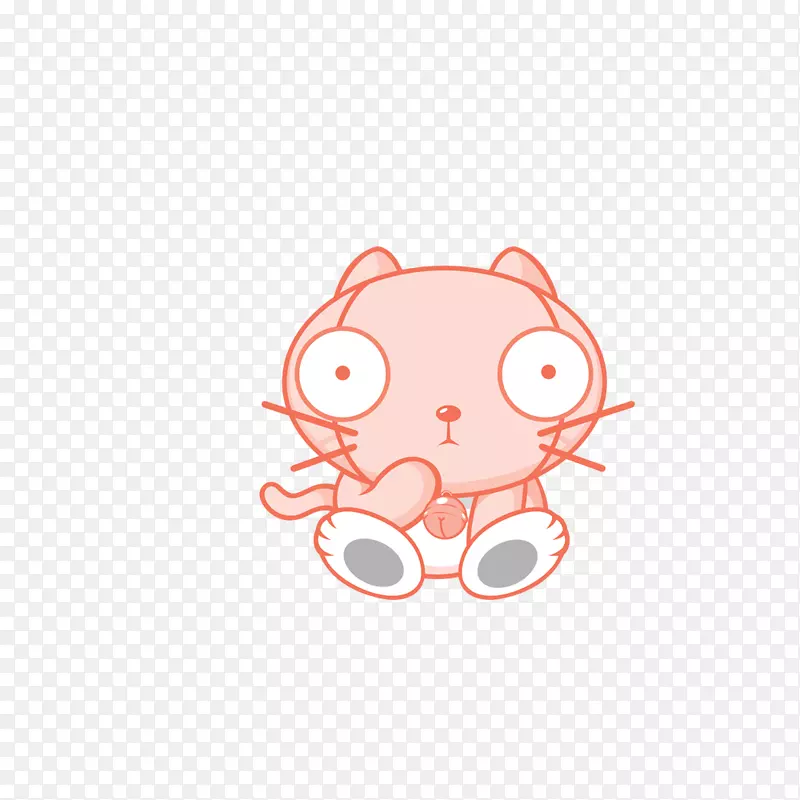 粉红猫-粉红宠物猫