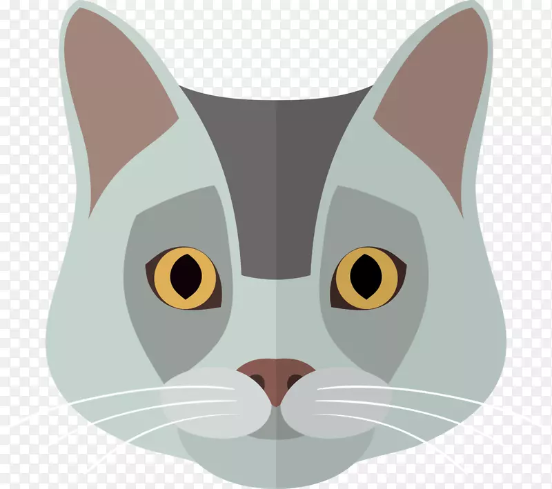 猫食小猫-灰色卡通猫
