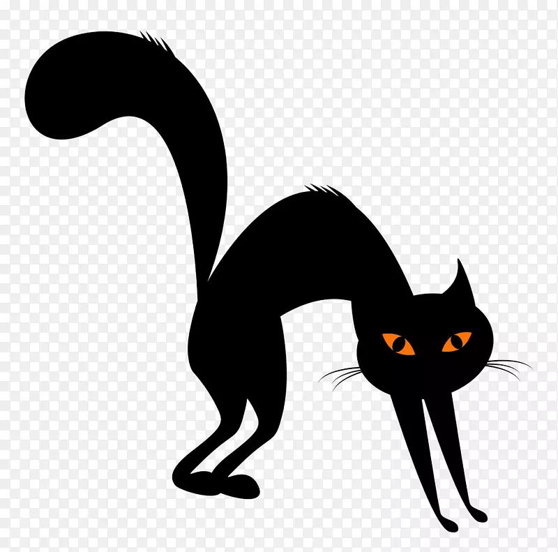 布娃娃黑猫胡须国内短发猫剪贴画猫