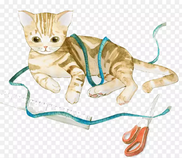 小猫须水彩：水彩画花水彩画猫
