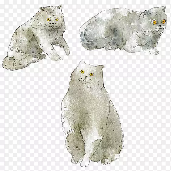 猫须水彩画艺术插图水彩画猫