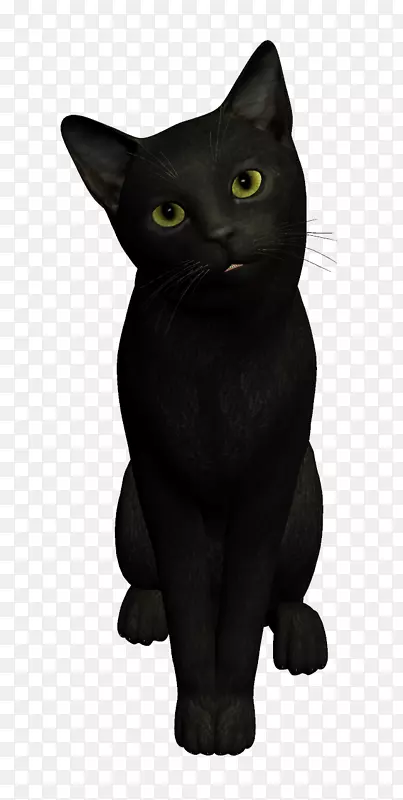 黑猫狗-蒙猫