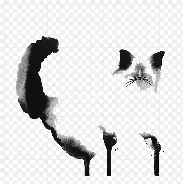 黑猫胡须小猫水彩画