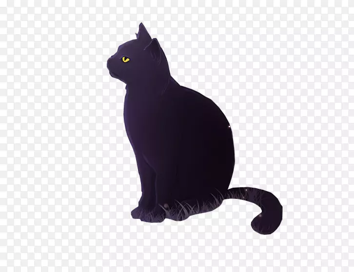 孟买猫黑猫胡须家养短毛猫高贵黑猫