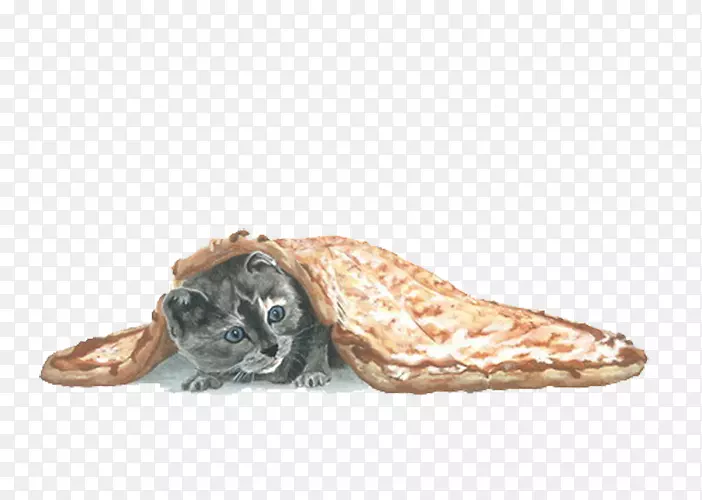 猫比萨饼毛毯猫