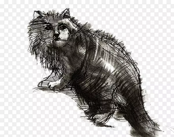 猫画艺术和手工艺运动.猫素描材料