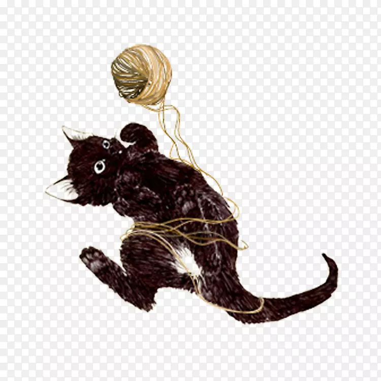 黑猫-可爱的猫