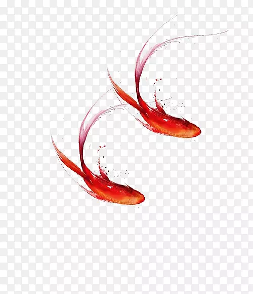 鱼-两条红鱼游泳者