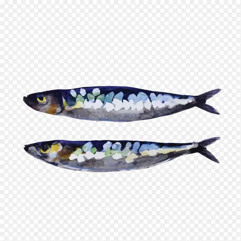 沙丁鱼欧洲沙丁鱼夹艺术手绘鱼料