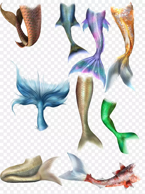 尾海报-种类繁多的鱼