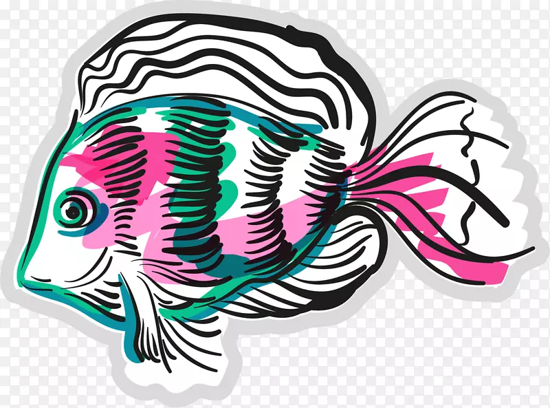 鱼插图.彩绘鱼