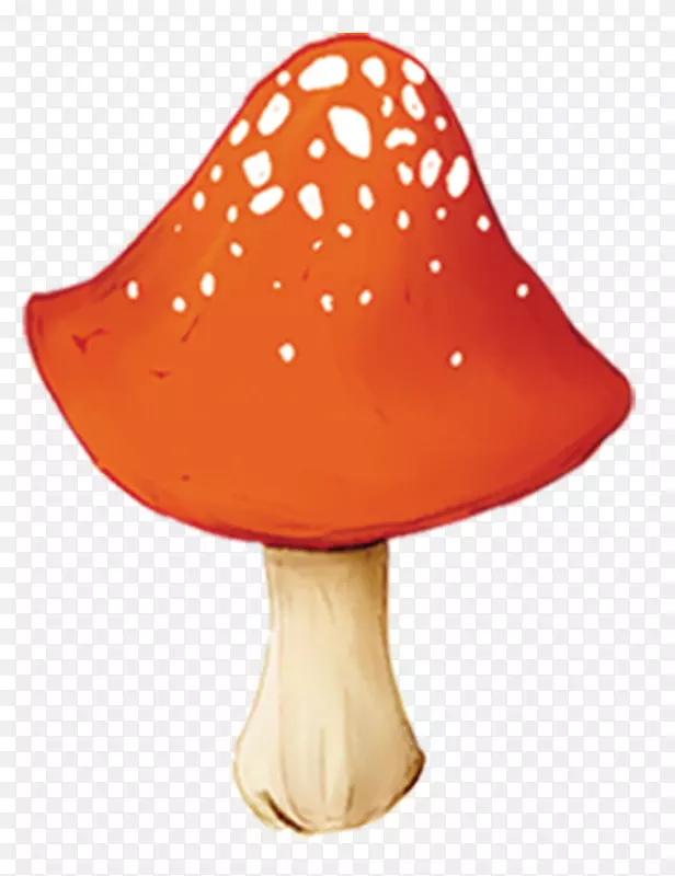 橙菇-野蘑菇老师