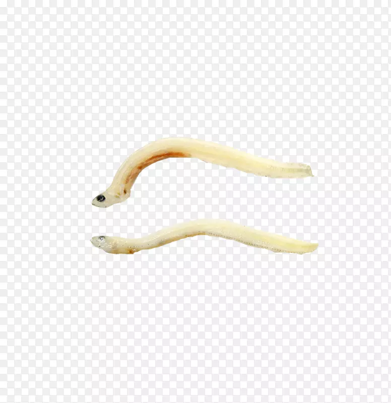材料黄色图案-实物小鱼；小白鱼