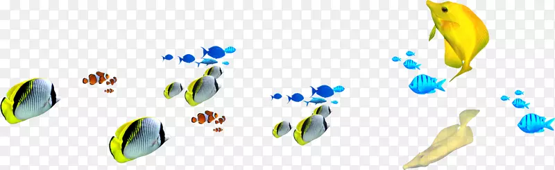 鱼类图标-五颜六色的鱼群
