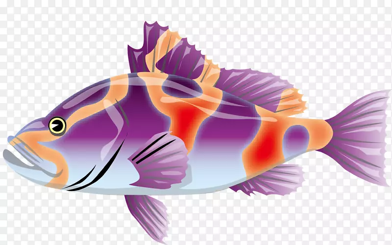 Adobe插画-彩色鱼