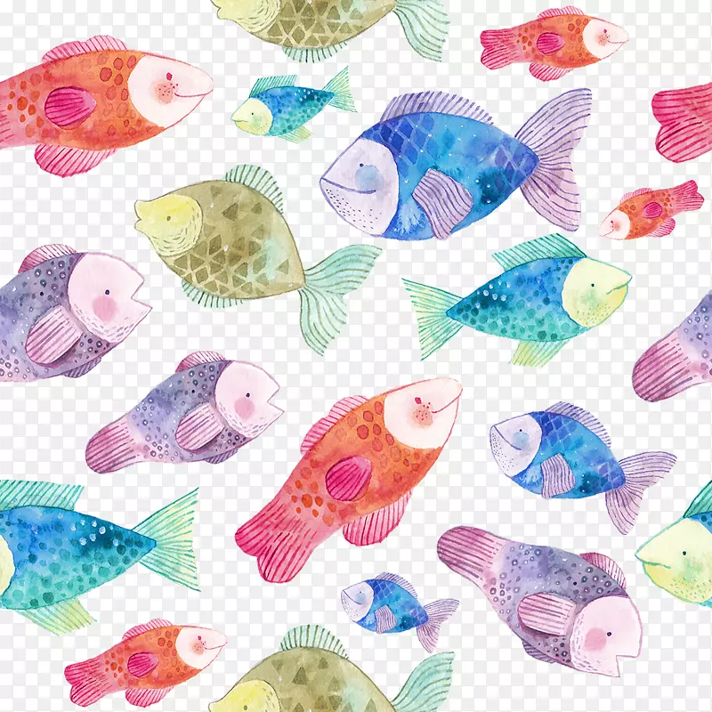 鱼摄影插图.装饰鱼