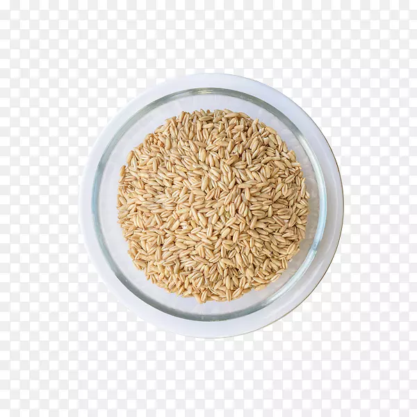 白米谷类黄米食品大粒白米