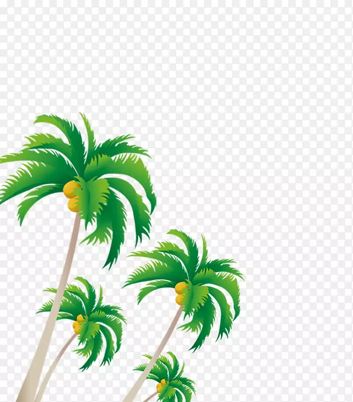 槟榔科椰子树-漂浮树