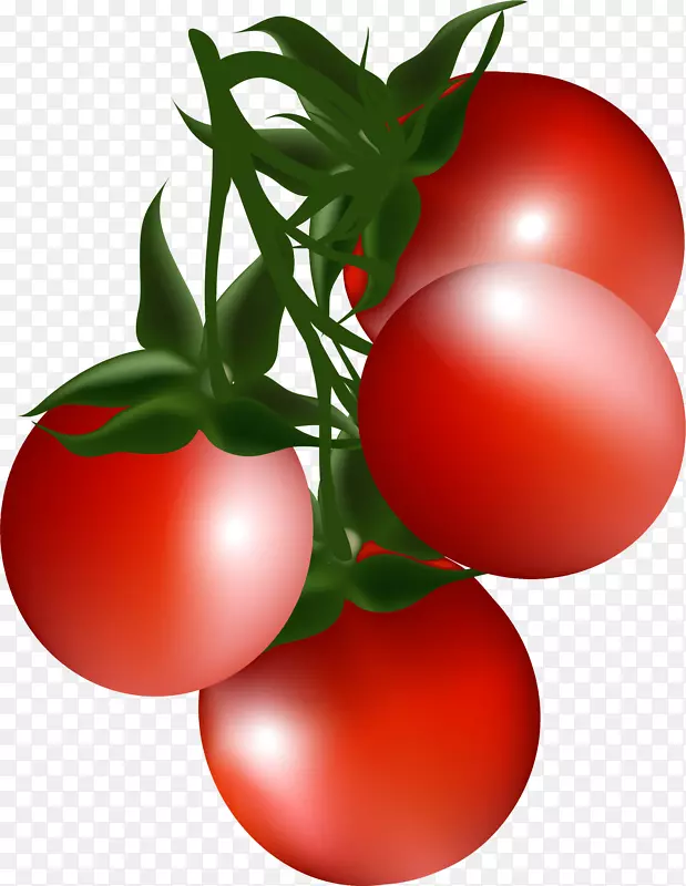 樱桃番茄灌木丛番茄剪贴画卡通红樱桃