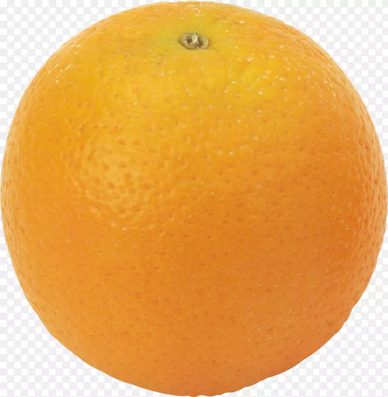 国语橘子柚子探戈苦橙兰格普尔3D卡通水果图片