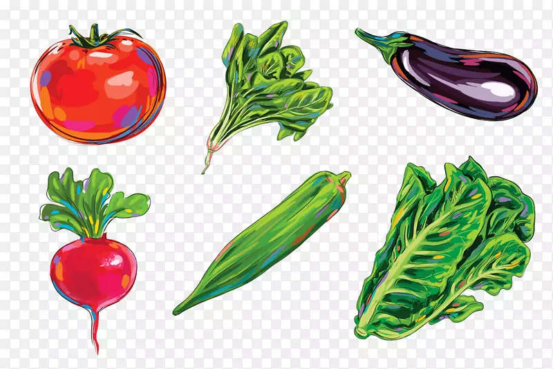 茄子插图.食品图片3D草图