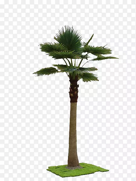 毛竹-一种模拟树