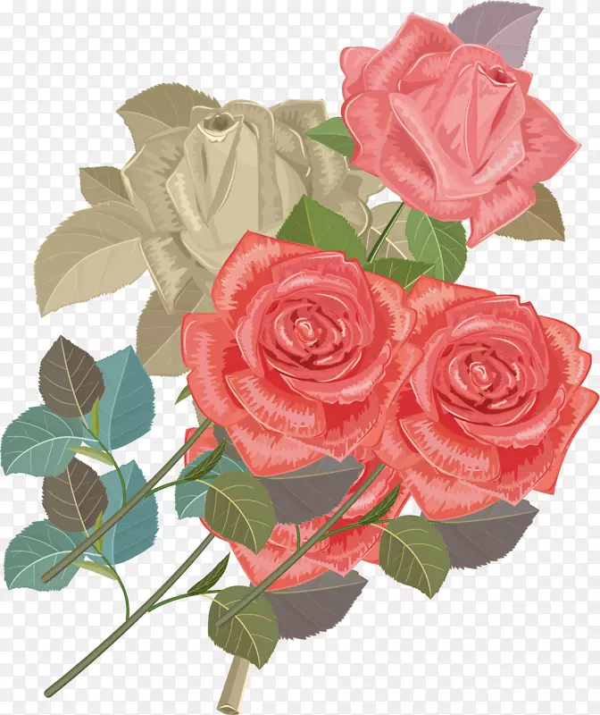 花园玫瑰、蜈蚣玫瑰、沙滩玫瑰、花束-玫瑰创意