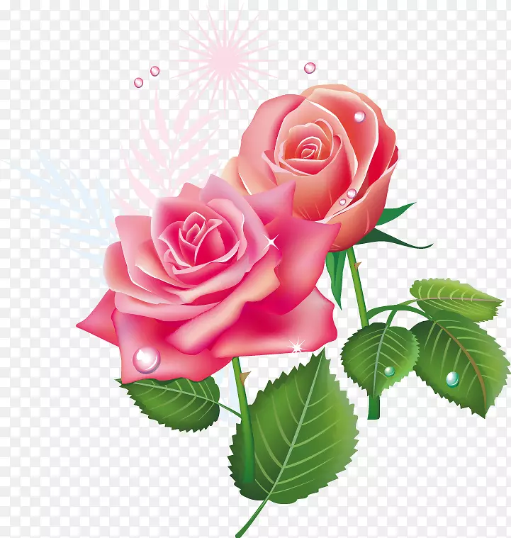 祝福早晨报价-粉红色玫瑰图案PNG图片素材下载_图片编号475418-PNG素材网