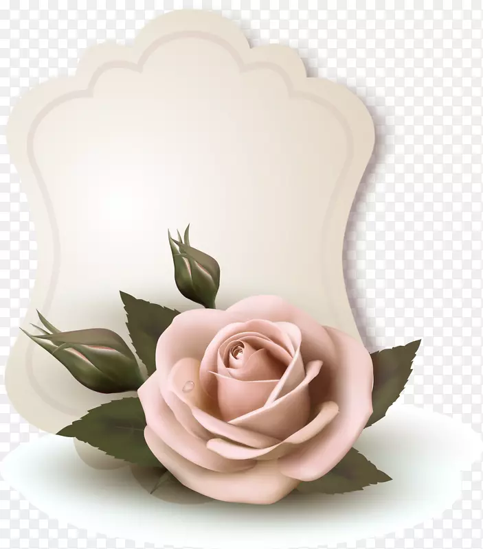 花卉插画-玫瑰卡片设计