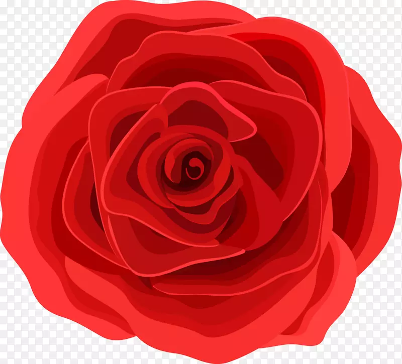 海滩玫瑰图案设计-红玫瑰材料