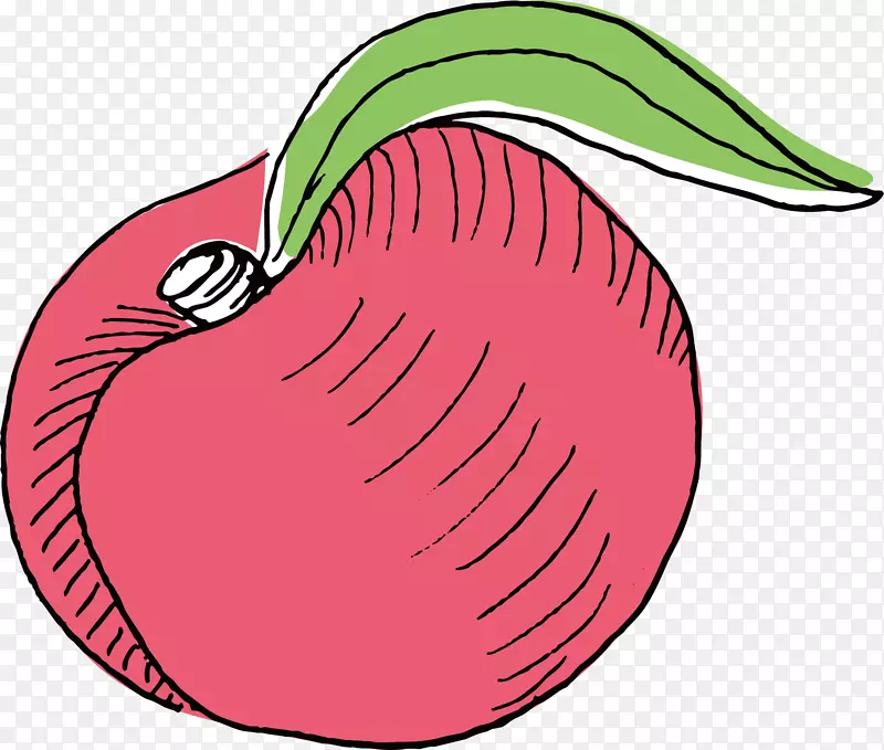 苹果插图-手绘美味苹果