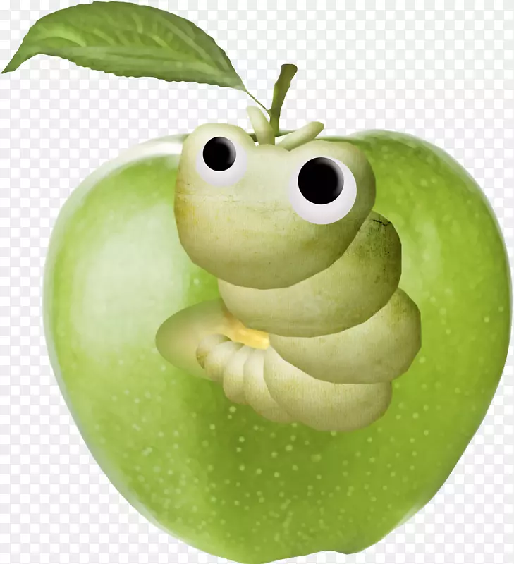 苹果猕猴桃剪贴画-绿色苹果