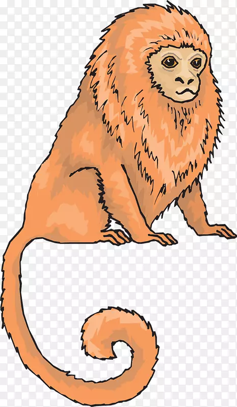 猕猴剪贴画-橙色猴子