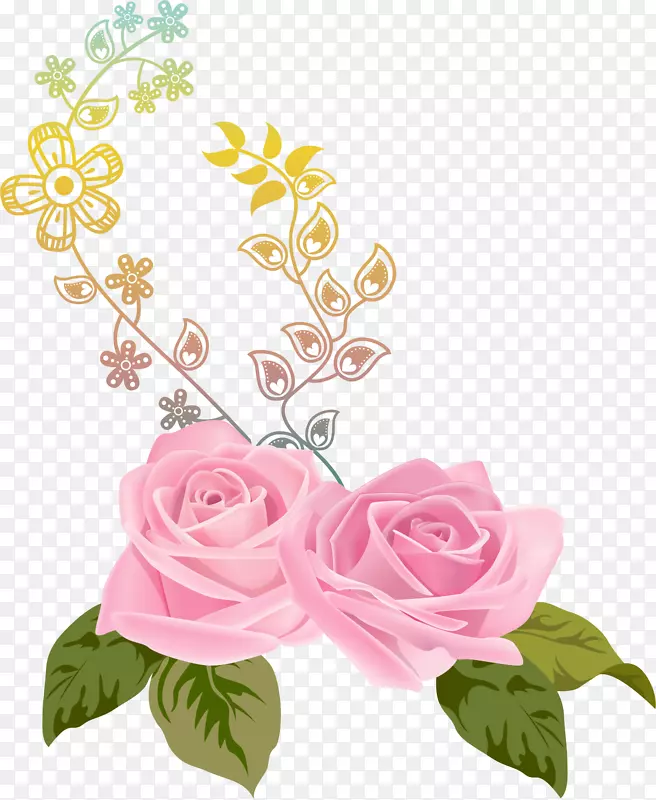 花卉渲染自然花园玫瑰.手绘粉红玫瑰