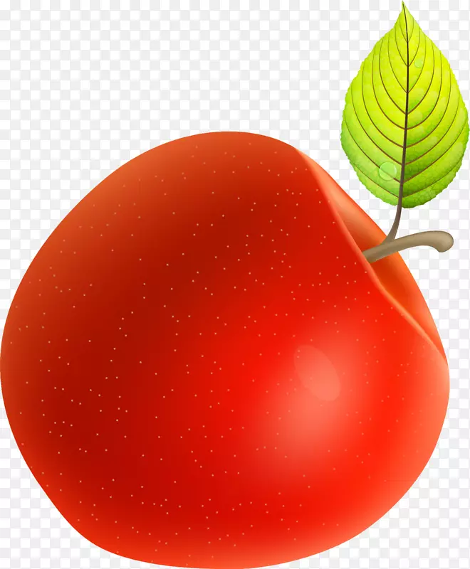 红梅番茄苹果手漆红苹果