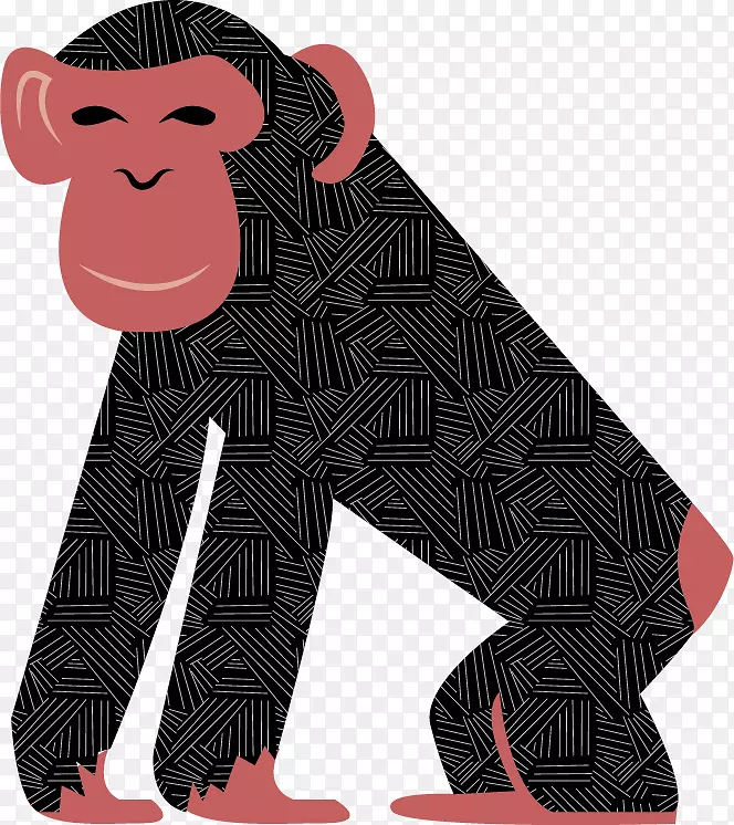 灵长类猴子-画可爱猴子