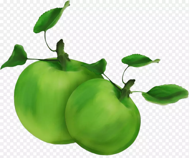 苹果绿色食品水果剪贴画-绿色苹果