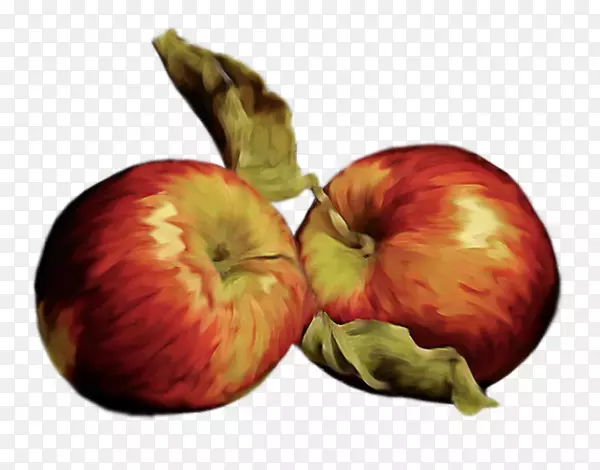 苹果食品-两个苹果
