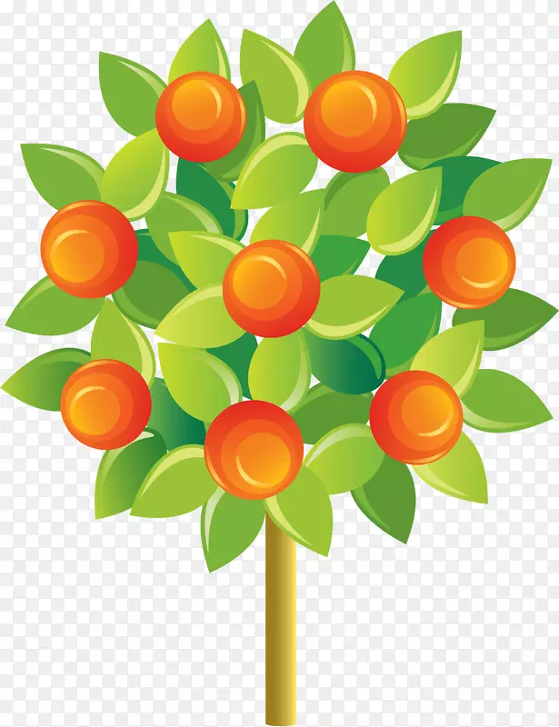 果树，橘子，桔子，卡通苹果树
