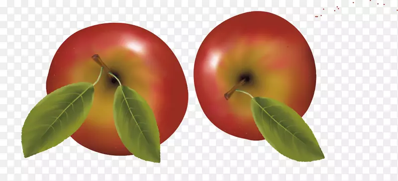 苹果富士食品-两个苹果水果