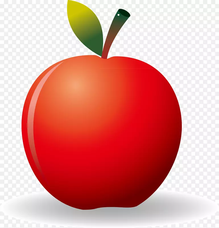 苹果叶红苹果叶元素