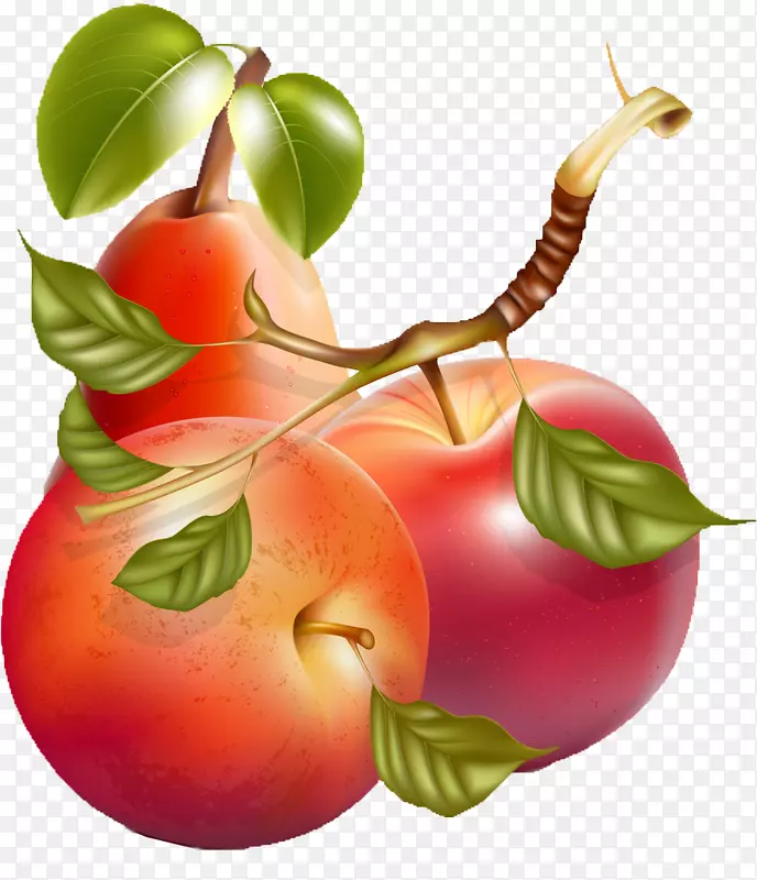苹果梨插图-创意水果创意手绘卡通水果，苹果