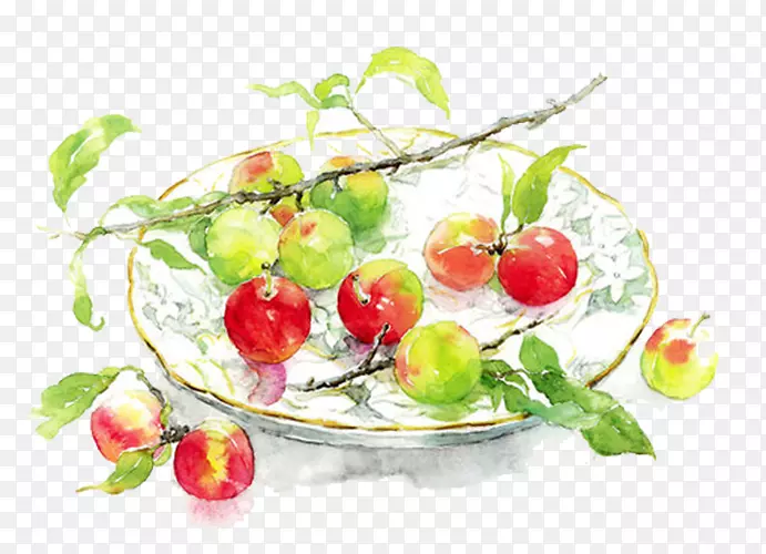 水彩画温莎&牛顿油画-红苹果