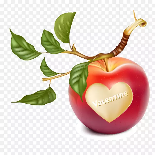 苹果枝条剪贴画-浪漫的心形苹果