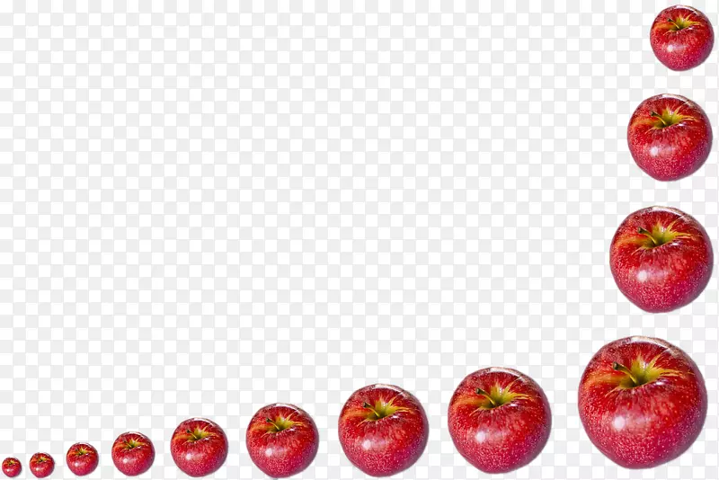 草莓苹果果实-圣诞夜苹果