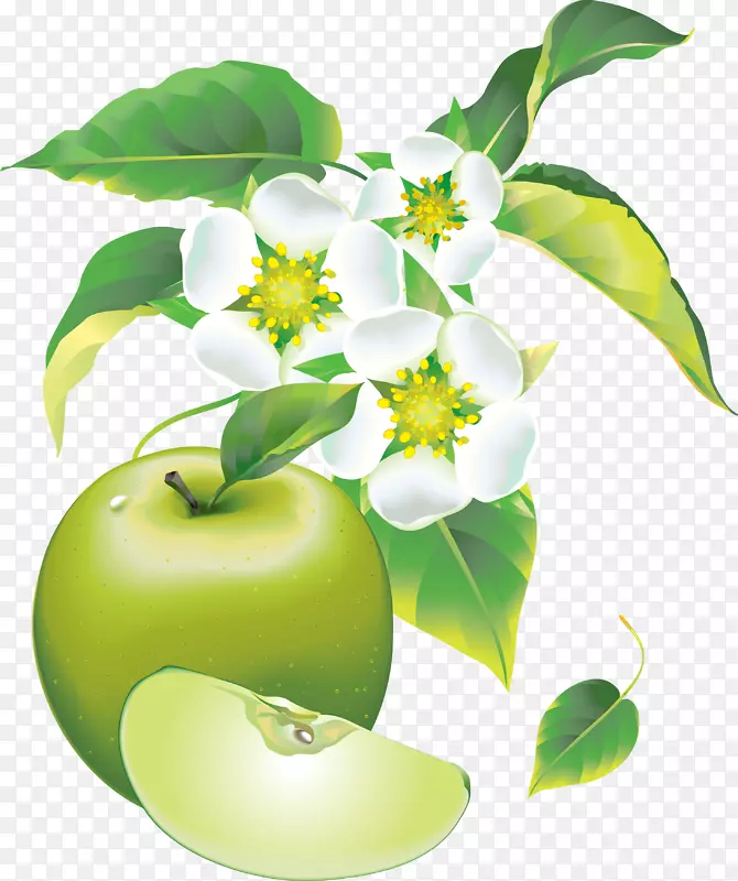 苹果画框剪贴画绿苹果