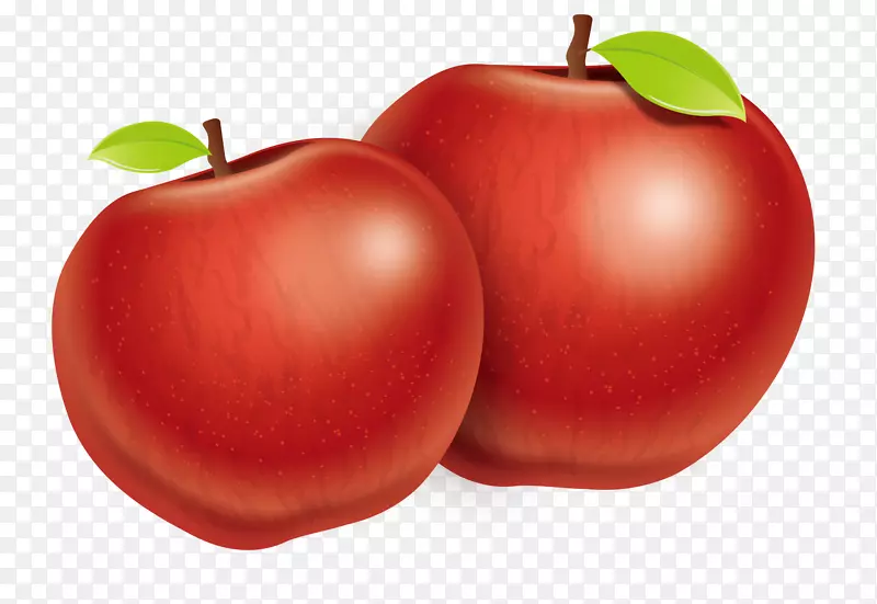 李子番茄苹果富士二苹果