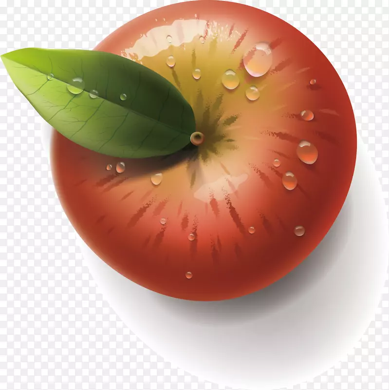 Adobe插画-红苹果绿叶元素