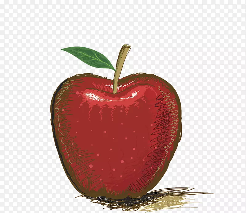 绘制苹果插图.手绘苹果