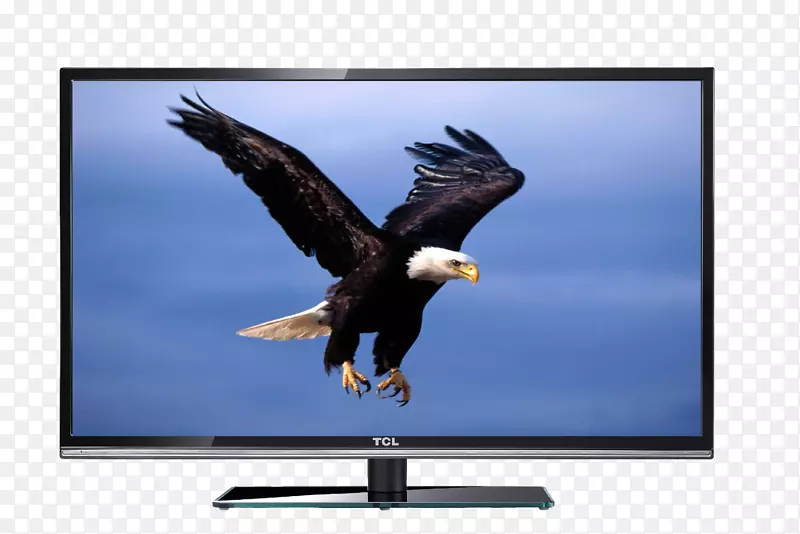 秃鹰桌面电脑壁纸液晶电视墙支持第四代魔法音响系统